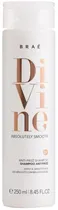 Shampoo Braé Divine Anti-Frizz - 250ML