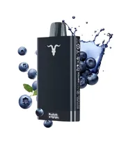 Pod Descartavel Ignite V150 15000 Puffs - Blueberry Ice