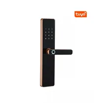 Fechadura Digital S819 Wifi Tuya/Cartão/Chave Red Bronze