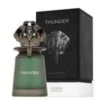 Perfume French Avenue Thunder - Eau de Parfum - Masculino - 100ML
