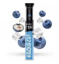 Chilly Beats 1000 Puffs Blueberry Ice