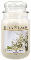 Vela Aromática Price's Candles Lily Of The Valley - 630G