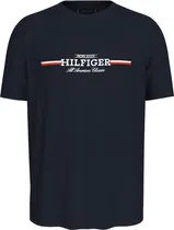Camiseta Tommy Hilfiger MW0MW36480 DW5 - Masculina