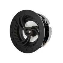 Alto Falante Lithe Audio LWF1V2/IP Wi-BT/06601US