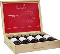 Vinho Gianni Gagliardo Barolo Experience 2019 (5 Unidades)