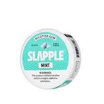 Pouches Slapple Chewing Mint BBG 2MG 40PCS