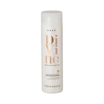 Brae Cosmetico Acond.Brae Divine Anti Frizz 250ML