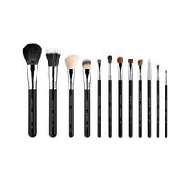 Set de Brochas Sigma Essential Brush 12 Piezas