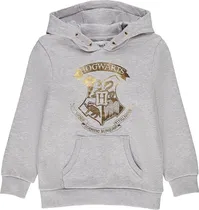 Agasalho Orchestra Harry Potter Hfiptz-GRM - Feminino