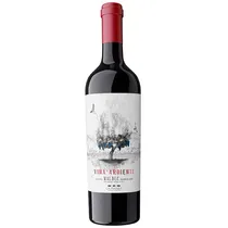 Vinho Viña Ardiente 750ML - 7798114094635