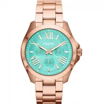 Relógio Feminino Fossil AM4540