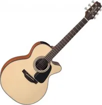  Takamine GX...