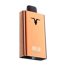 Pod Descartável Ignite V120 Pro Rose Gold Strawberry Razz 12.000 Puffs