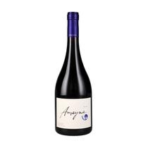 Vino Amayna Syrah 750ML