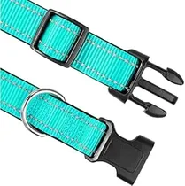 Original Collar p/Mascota K49000-3 54CM Turquesa