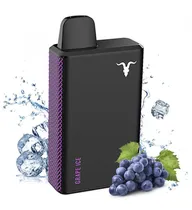 Ignite V40 Grape Ice