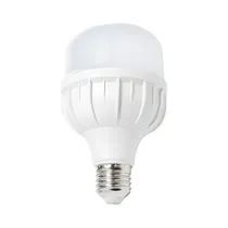  Foco LED Ec...