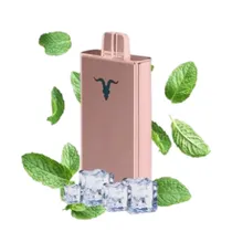 Ignite V80 Rose Menthol