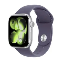  Apple Watch...