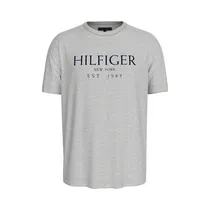 Camiseta Tommy Hilfiger MW0MW36499 P91