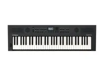 Go Key S5-GT Teclado Personal Roland
