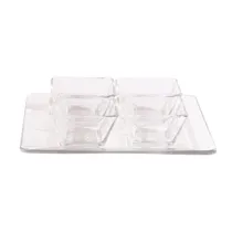 Libbey Jgo 5PZS Servicio Tempo