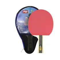 Paleta de Ping Pong DHS H1003