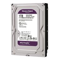 HD 1TB Western Digital Purple Surveillance 5400RPM WD10PURZ