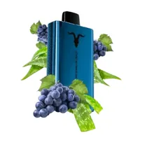 Ignite V120 Pro Blue 12000 Puffs Aloe Grape