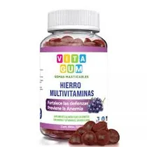 Vita Gum Hierro Multivitaminas 150 G 60 Gum Plastico Morado