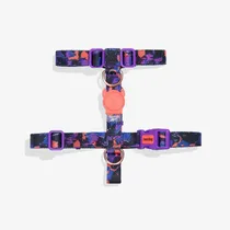 Zeedog Arnes p/Perro X Reebok Court T3