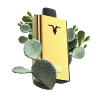 Ignite V120 Pro Gold 12000 Puffs Cactus