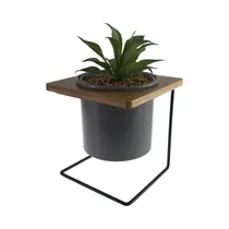 Planta En Maceta Concepts 567-49256 26 CM