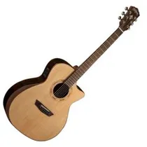 Washburn WCG20 Sce