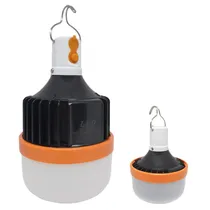 Lampada LED Luo LU-2155 80W / E27 / Recarg