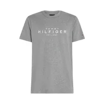 Camiseta Tommy Hilfiger MW0MW37448 P91