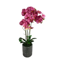 Orquídea Artificial En Maceta Concepts 592-470049 72 CM