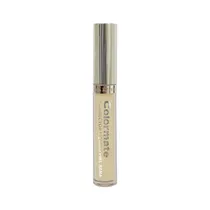 Corrector Ayvanna Rêver Color Mate 02 6.5ML