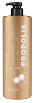 Shampoo Kerasys Propolis Energy 1L