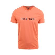 Camiseta Tommy Hilfiger MW0MW31535 TKL